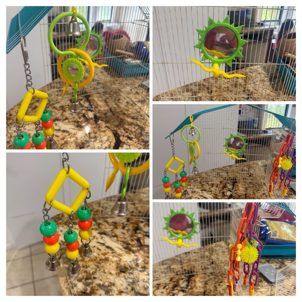 Vibrant Hanging Bird Toy Set with Bells
